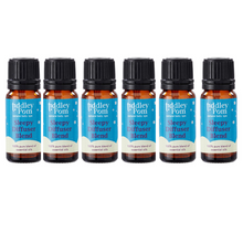 Load image into Gallery viewer, Wholesale Box of 6 Sleepy Blend Essential Oil