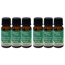 Load image into Gallery viewer, Wholesale Box of 6 Purifying Blend Essential Oil
