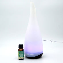 Load image into Gallery viewer, Purifying Kharis diffuser bundle