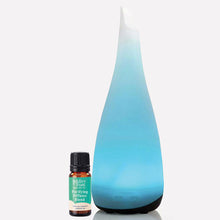 Load image into Gallery viewer, Purifying Kharis diffuser bundle