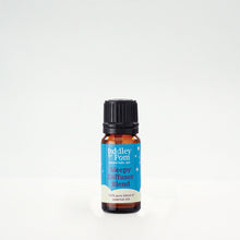 Load image into Gallery viewer, Wholesale Box of 6 Sleepy Blend Essential Oil
