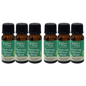 Wholesale Box of 6 Purifying Blend Essential Oil